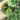 IMG-20210826-WA0066